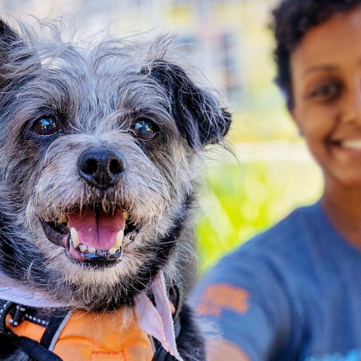 Woman sitting with small black and white dog