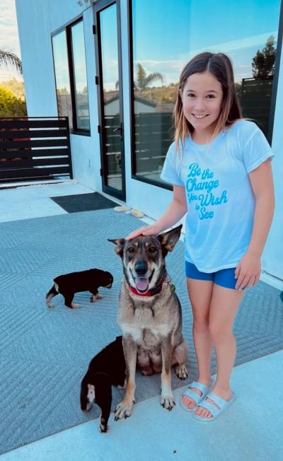 Tina Turner the dog with a couple puppies, with a person petting her head