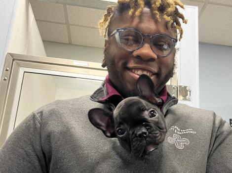 Jordan Powell  holding a black French bulldog puppy in his shirt