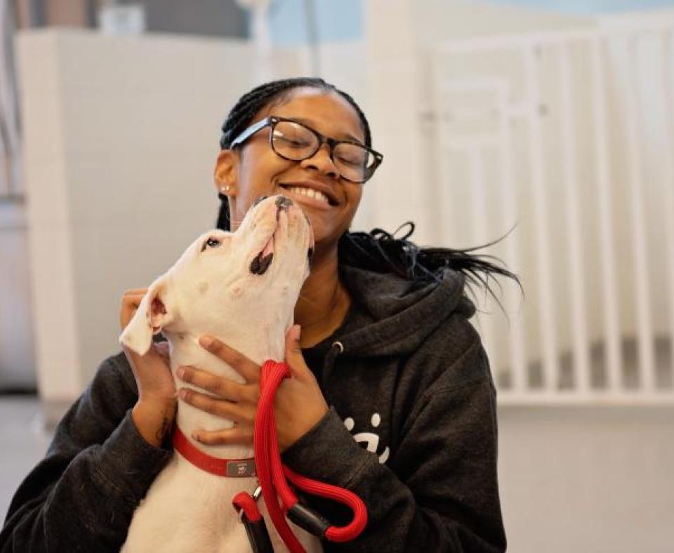 Dog licking person's face