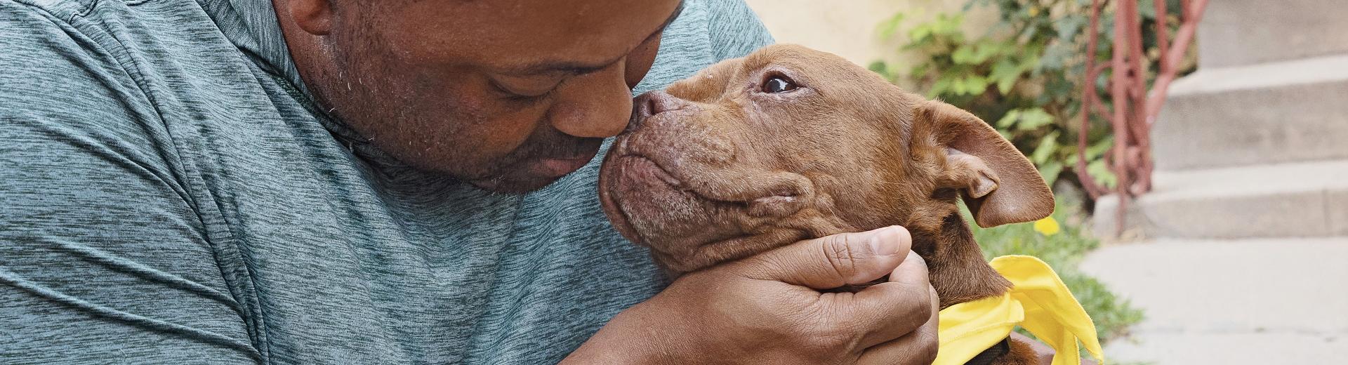 Person cradling a brown dog with his hand