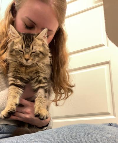 Zora the cat in her home being held by her adopter