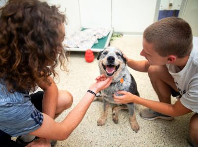 Two people kneeling down to pet a happy puppy