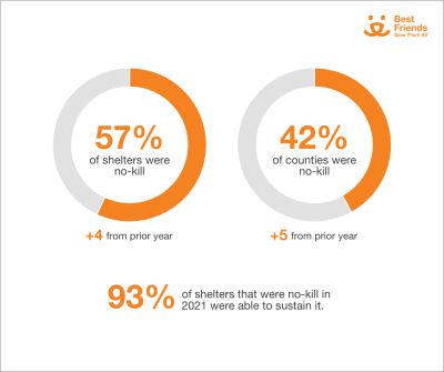 No-kill shelters and counties graphic