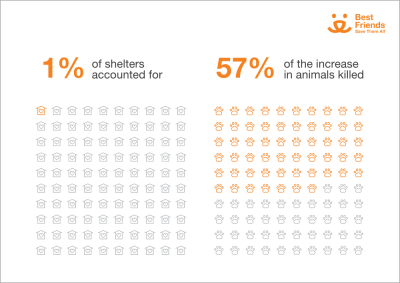 Shelters vs animals killed graphic