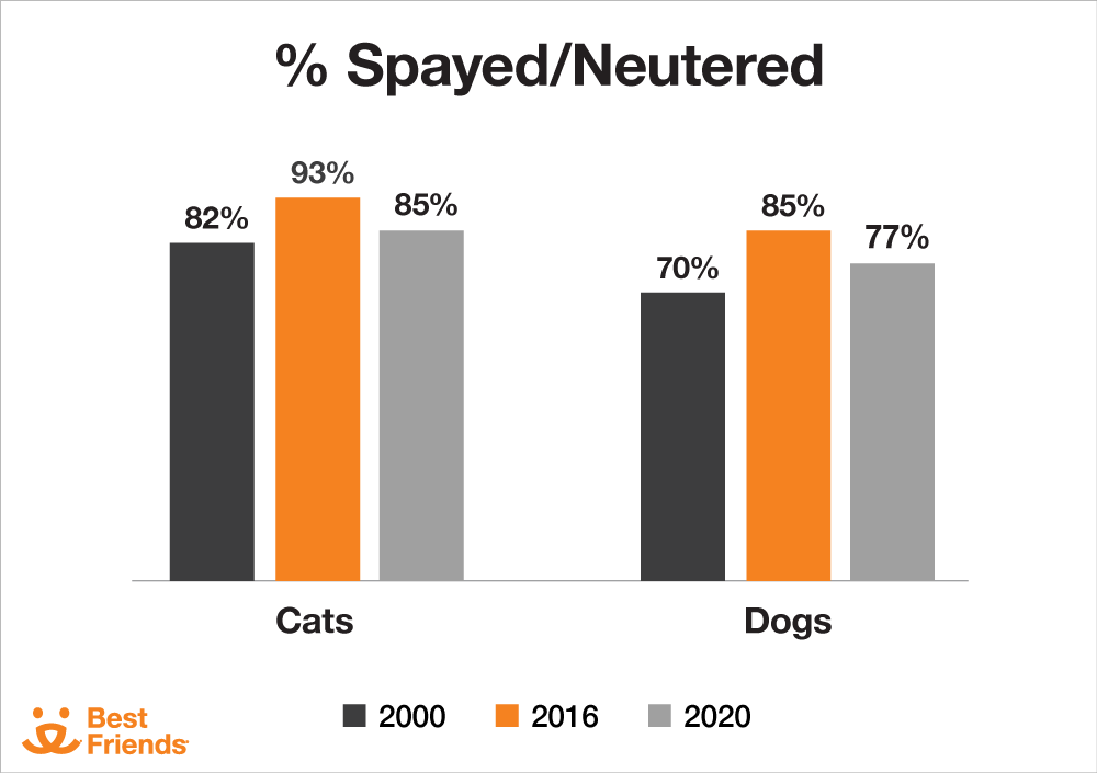 Spayed/Neutered